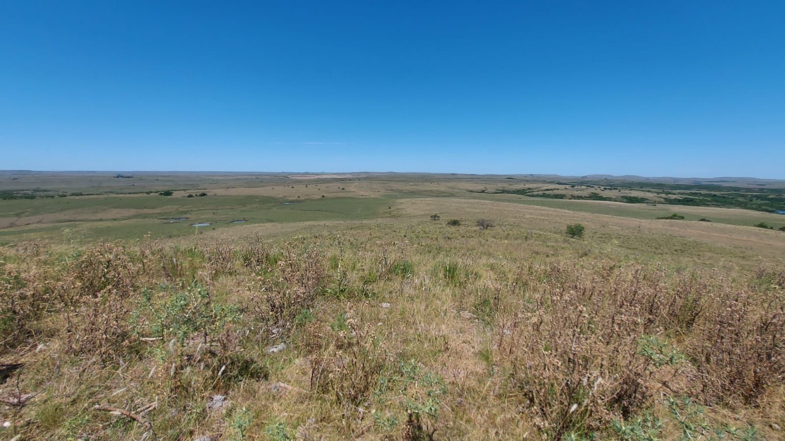 Fazenda 3 dormitórios para venda, Zona Rural em Quaraí | Ref.: 2549057